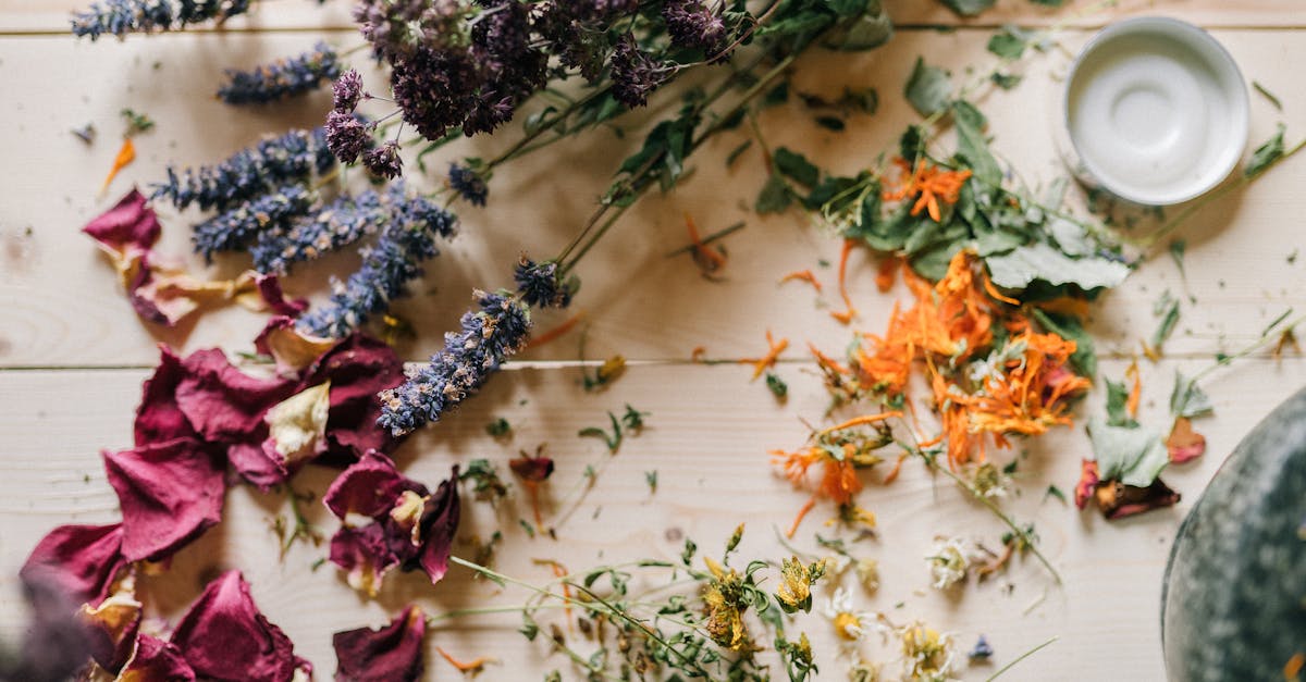 explore the power of natural remedies for holistic health. discover effective herbal treatments, essential oils, and homeopathic solutions to enhance your well-being and embrace a healthier lifestyle.