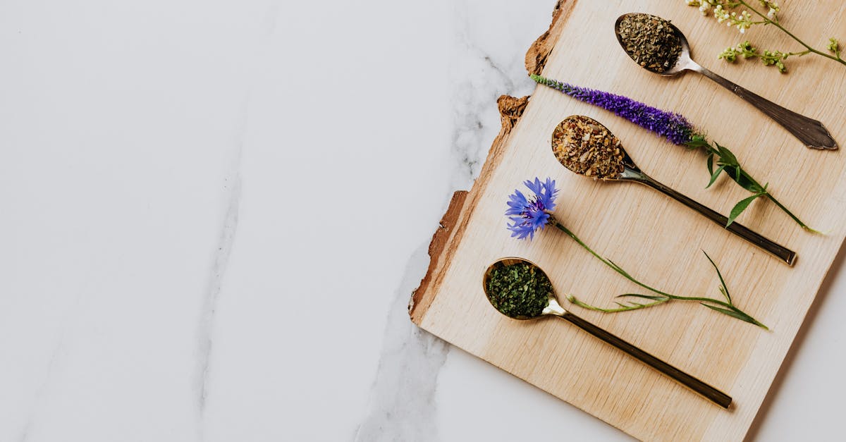 discover the power of natural remedies to enhance your well-being. explore a variety of holistic approaches, from herbal treatments to essential oils, that promote health and healing without the side effects of conventional medicine.