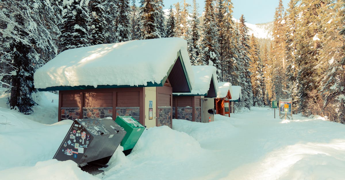 discover effective treatments and insights for frozen shoulder, a common condition that causes pain and limited mobility. learn about symptoms, causes, and recovery methods to regain your shoulder's range of motion.