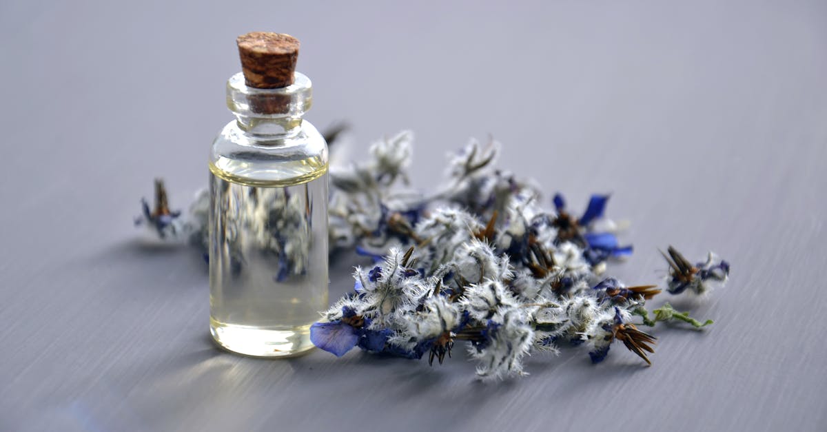 explorez des stratégies holistiques qui favorisent le bien-être général et l’équilibre dans votre vie. découvrez des techniques et des pratiques qui intègrent l'esprit, le corps et l'esprit pour un mode de vie plus sain et plus épanouissant.