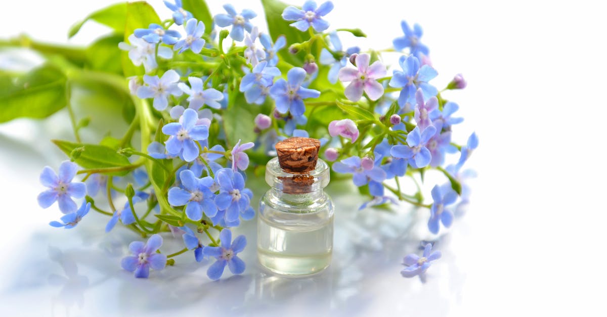 explorez le monde des huiles essentielles et découvrez leurs innombrables bienfaits pour la santé, le bien-être et l'aromathérapie. découvrez comment intégrer ces extraits naturels dans votre routine quotidienne pour un mode de vie holistique.