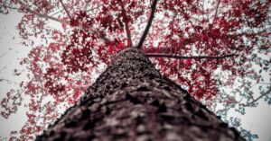 explore the unsettling sensation of vertigo, a dizzying condition that can disrupt balance and perception. discover its causes, symptoms, and effective treatment options in our comprehensive guide.