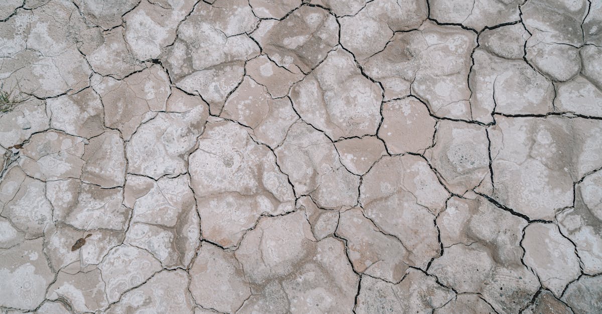 discover the causes, symptoms, and effects of dehydration. learn how to recognize this serious condition and find effective ways to stay hydrated for better health and well-being.
