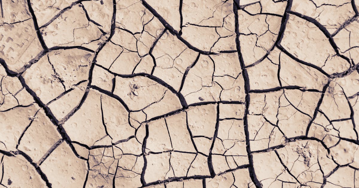 discover the causes and symptoms of dehydration, its impact on health, and effective ways to stay hydrated. learn how to recognize early signs and implement hydration strategies for optimal well-being.