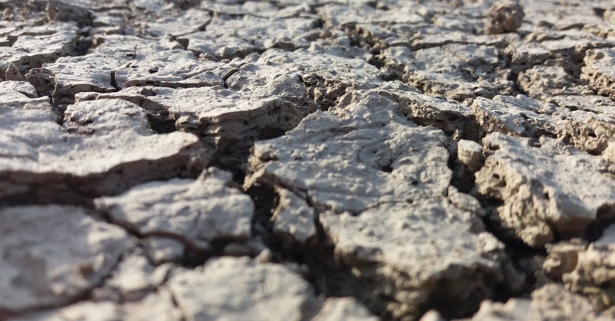 explore the causes, symptoms, and prevention of dehydration in this comprehensive guide. learn how to stay hydrated and maintain optimal health.