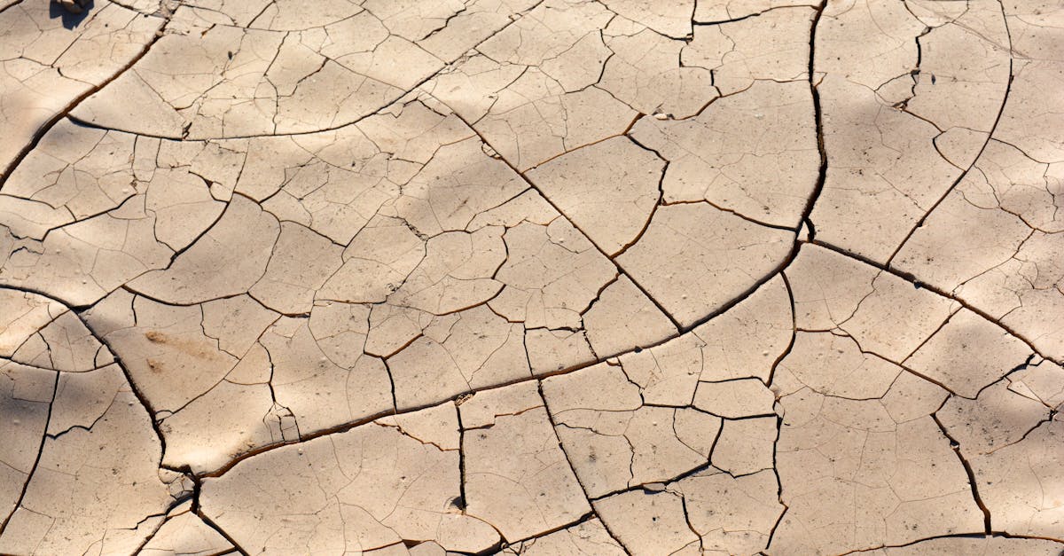 dehydration can lead to serious health issues. learn its causes, symptoms, and prevention tips to stay hydrated and maintain optimal health. discover how to recognize the signs of dehydration and the importance of fluid intake in your daily life.