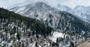 learn about frozen shoulder, its symptoms, causes, and effective treatment options. discover how to reduce pain and regain shoulder mobility with expert insights and practical advice.