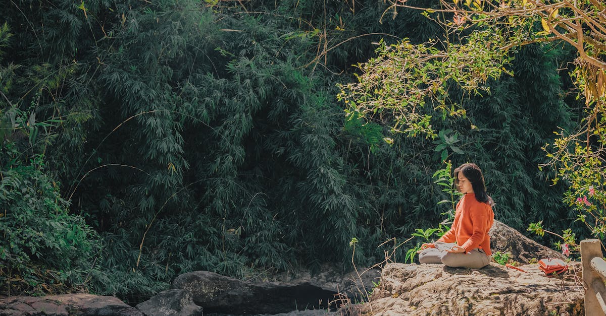 discover the transformative power of yoga for mind and body. explore various styles, tips for beginners, and how to incorporate yoga into your daily routine for enhanced well-being and relaxation.