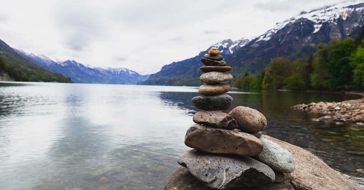 explore the concept of equilibrium, a state of balance and stability in various fields such as science, economics, and philosophy. discover how achieving equilibrium can lead to harmony and effective decision-making.