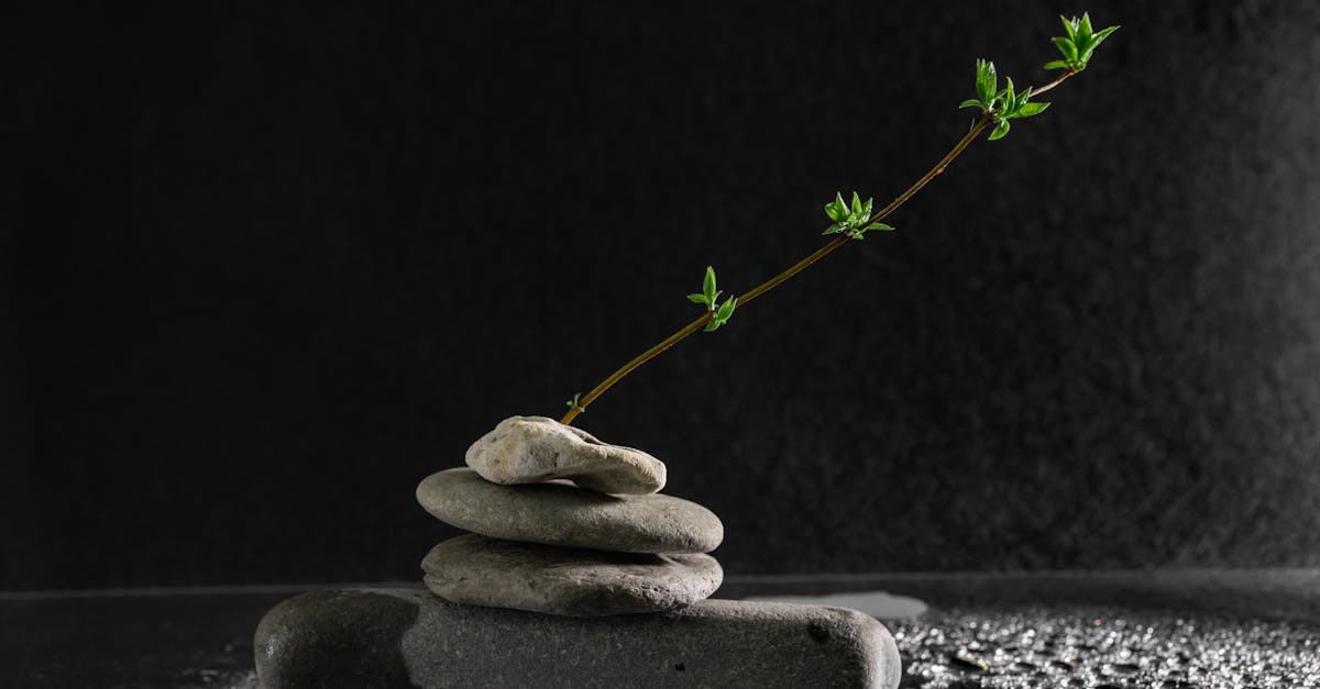 discover the concept of equilibrium, where balance and stability reign in various domains including science, philosophy, and everyday life. explore how equilibrium affects our environments, decisions, and well-being.