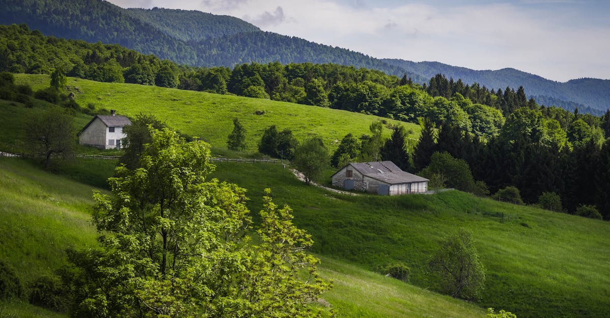 discover the essence of holistic living, where mind, body, and spirit unite for a balanced and fulfilling life. embrace wellness through natural practices, healthy lifestyle choices, and self-care techniques that nurture your overall well-being.