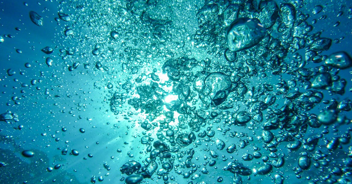 discover the importance of hydration for your health and well-being. learn tips on how to stay properly hydrated, the benefits of drinking water, and its impact on your body and mind. stay refreshed and energized every day!