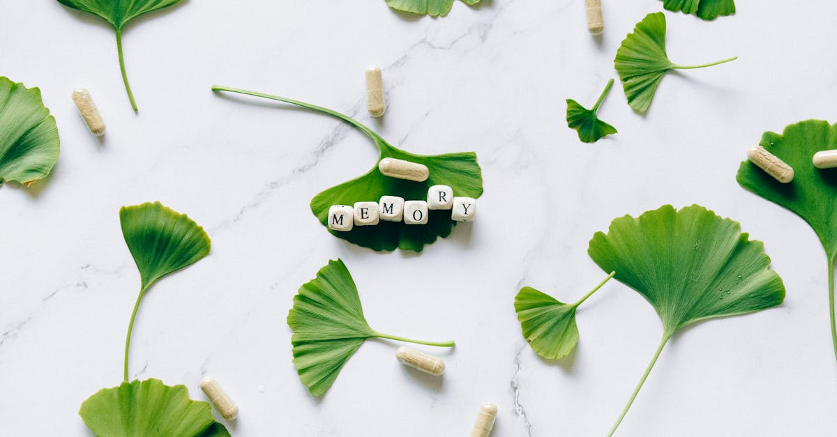 La pratique d'exercices contre le vertige est essentielle pour retrouver l'équilibre. Ces exercices sont conçus pour stimuler le système vestibulaire et favoriser un meilleur équilibre. Par exemple, les clients peuvent être guidés à travers des exercices à domicile sûrs et efficaces, adaptés à leurs besoins spécifiques, favorisant une approche pratique pour devenir proactif dans leur rétablissement.