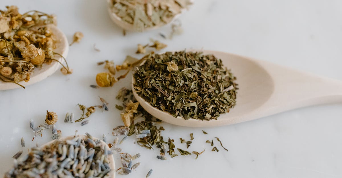 discover the power of natural remedies to enhance your well-being. explore effective herbal solutions, holistic practices, and age-old traditions that promote health and vitality. embrace nature's gifts for a balanced life.