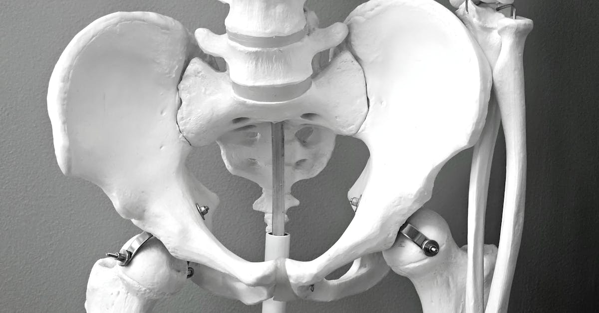discover the benefits of pelvic tilts for improving core strength, enhancing flexibility, and alleviating lower back pain. learn proper techniques and variations to incorporate into your fitness routine for better posture and muscle balance.