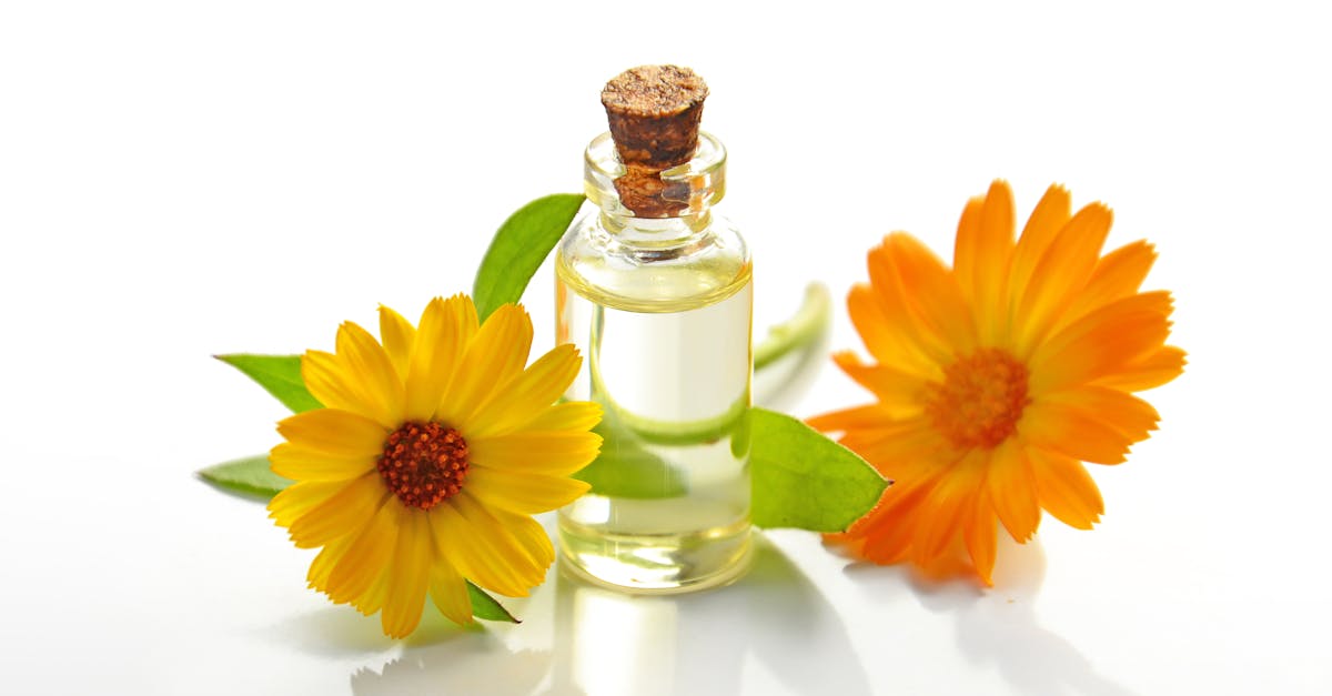discover the power of holistic remedies to enhance your well-being. explore natural solutions for a balanced lifestyle, including herbs, essential oils, and mindfulness practices. embrace a healthier, more harmonious you with our comprehensive guide to holistic health.