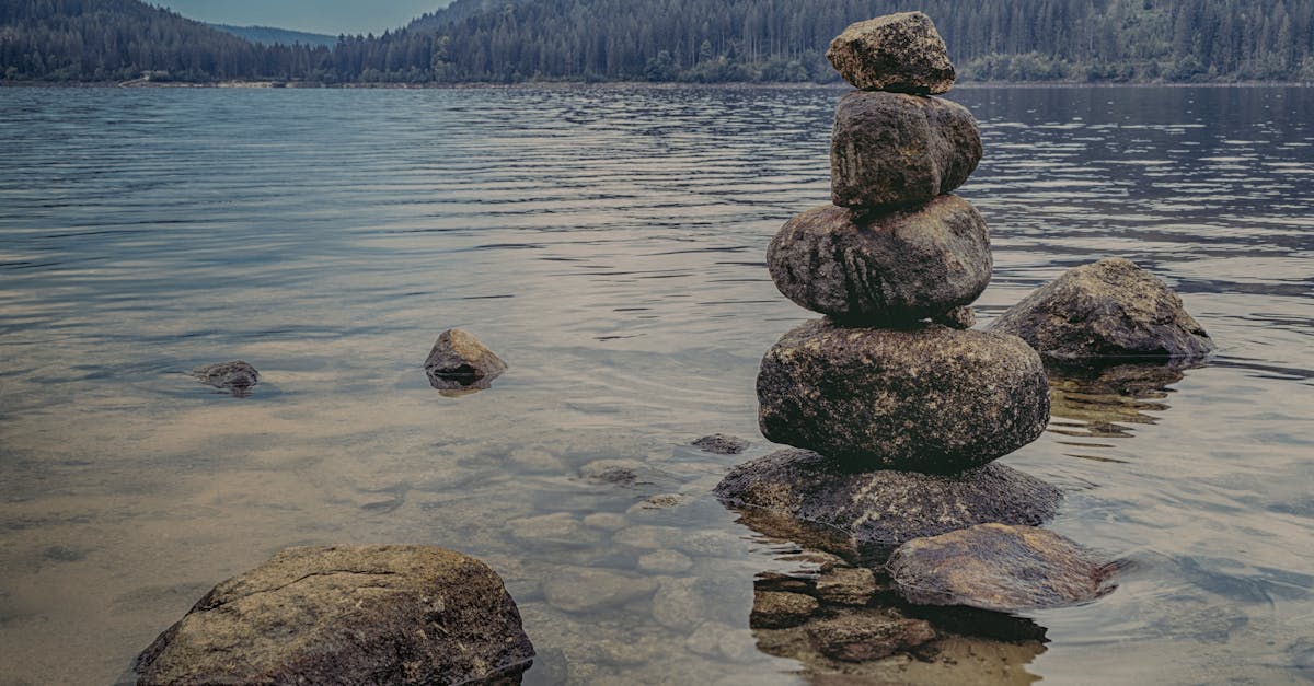 discover the transformative power of meditation. explore various techniques to enhance your mental clarity, reduce stress, and achieve inner peace through mindful practices.